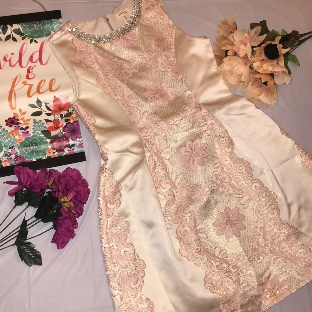 ✨Gorgeous Fancy Dress Pink with Gold Accents✨